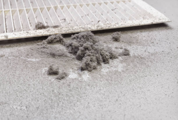 Best Affordable Air Duct Cleaning  in Chinook, MT